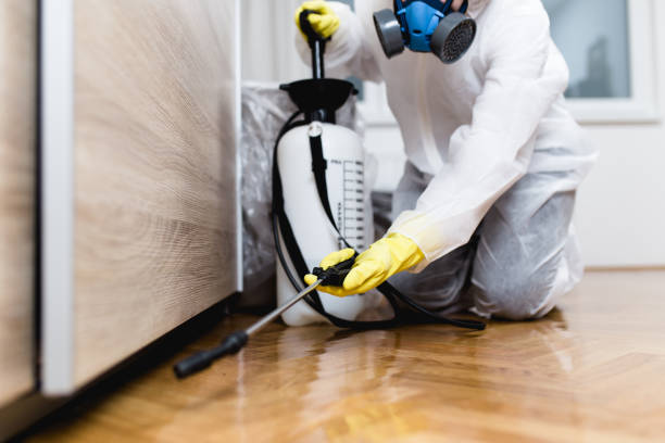 Best Best Pest Control Companies  in Searingtown, NY