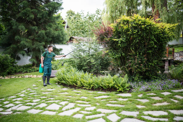 Best Pest Control Near Me  in Searingtown, NY