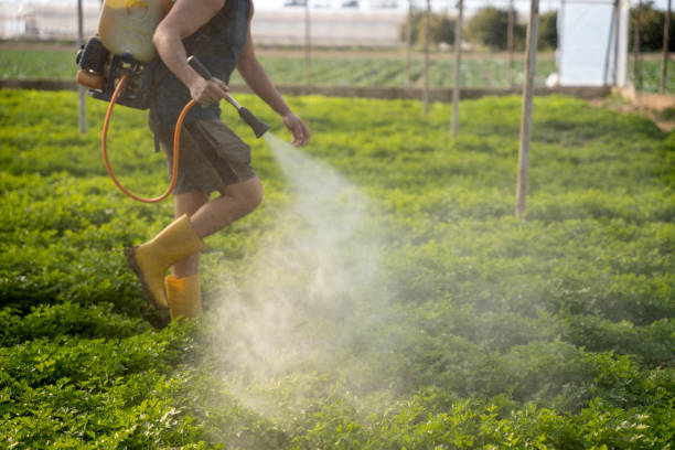 Best Pest Removal Services  in Searingtown, NY